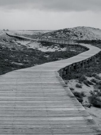 View artwork titled Dunes