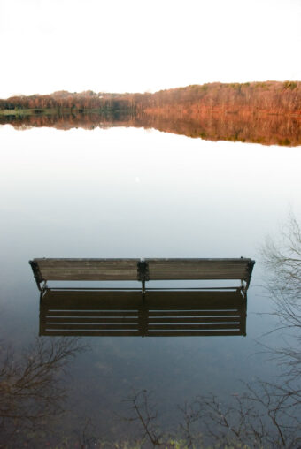 View artwork titled Jamaica Pond 2