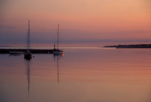 Vineyard Haven