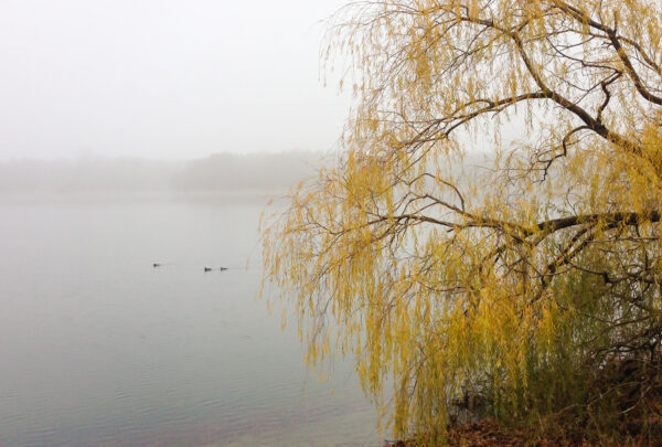 Jamaica Pond 1