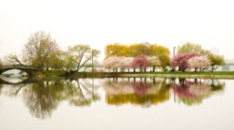 View artwork titled Esplanade 2