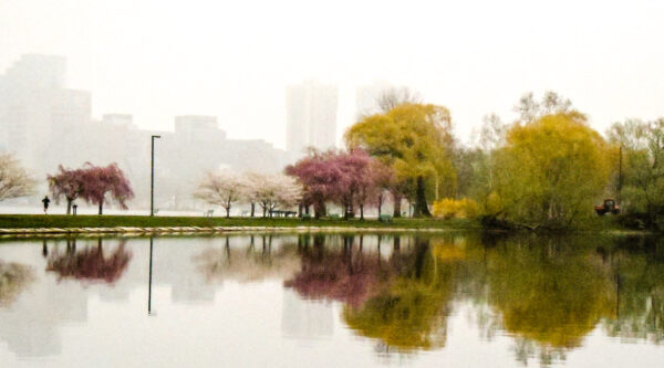 Esplanade 4