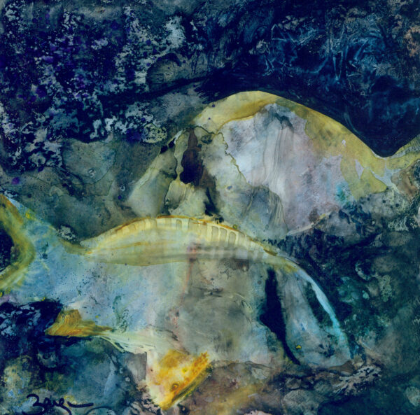 Fish passing in the Night
