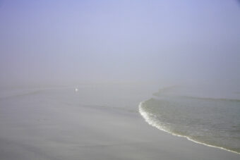 View artwork titled We Listen, We are Lured and Finally We are Seduced