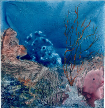 View artwork titled Fire Coral