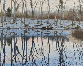 View artwork titled Winter’s Grace