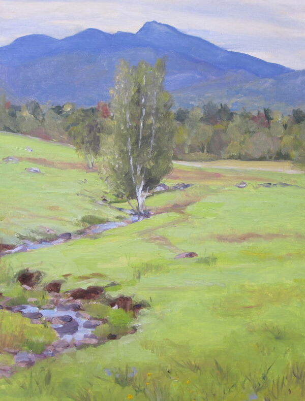 Vermont Stream
