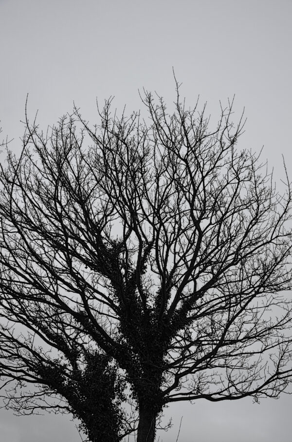 Winter, Dublin