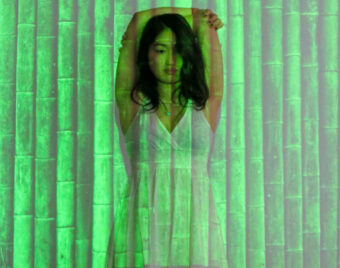 View artwork titled Bamboo Green