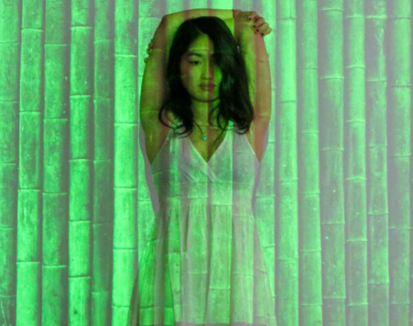 Bamboo Green