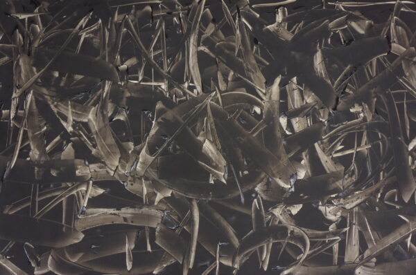 Entangled Lines II