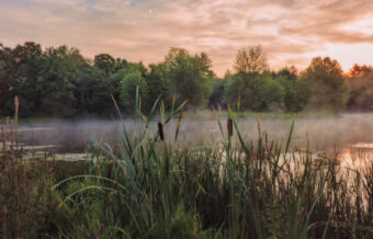 View artwork titled Misty Morning