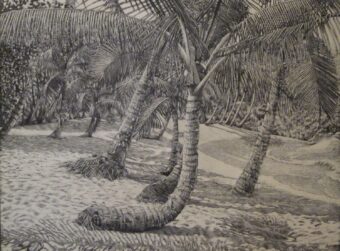 View artwork titled Englishman’s Bay