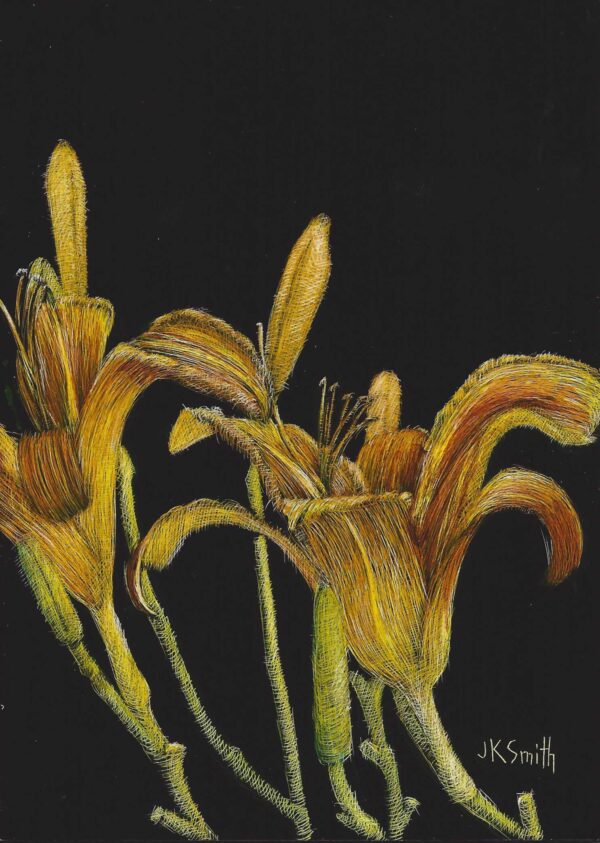Lilies