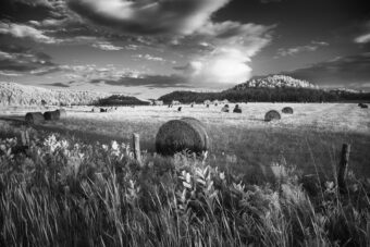 View artwork titled August Sunset
