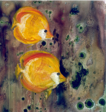 View artwork titled Butterfish Duo