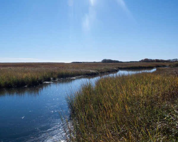 Dennis, Cape Cod