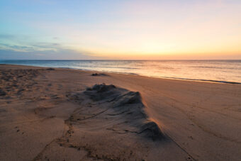 View artwork titled First Light