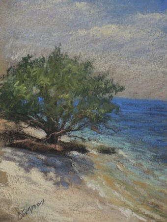 View artwork titled Tree on Sunny Beach