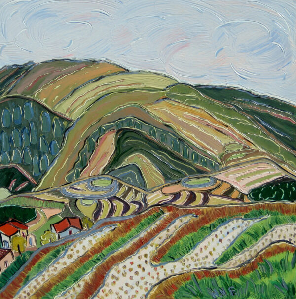 Morning at the Rice Terraces