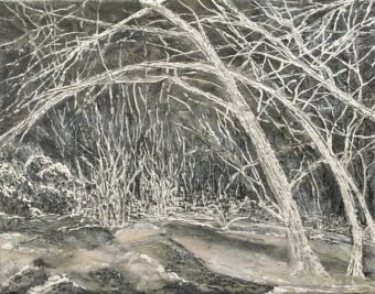 View artwork titled Frozen