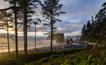 View artwork titled Ruby Beach