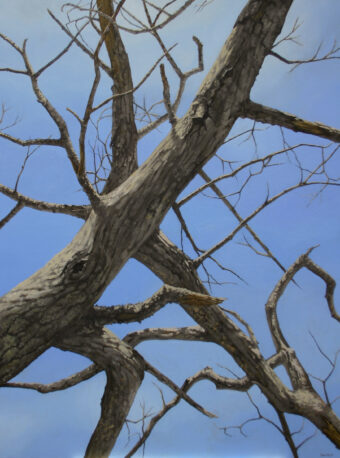 View artwork titled Breaking