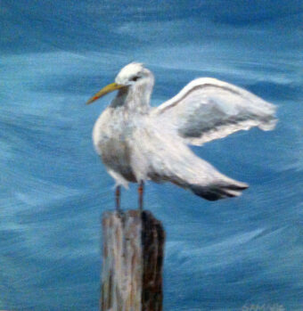 View artwork titled Poster Gull