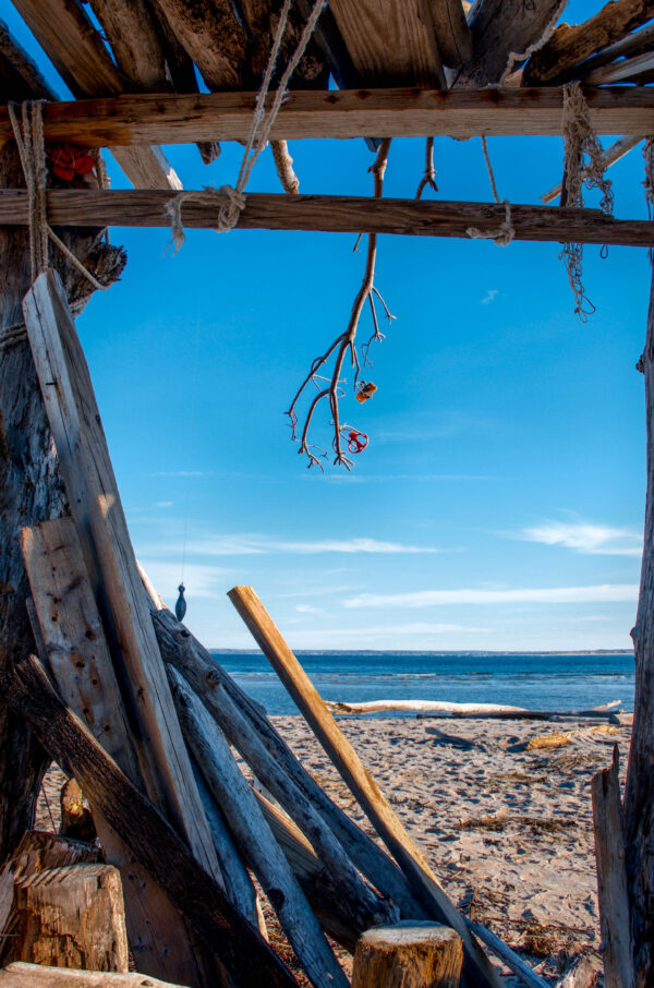 Driftwood House