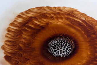View artwork titled Custard On Impact from the series, “Fluidity of Attraction.” Edition of 1.