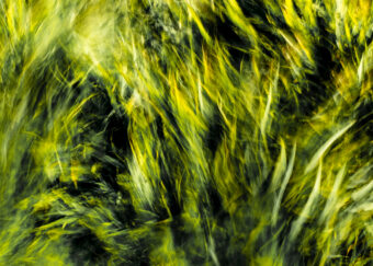 View artwork titled Ground