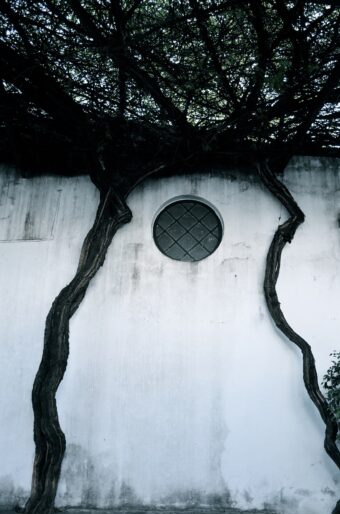 View artwork titled Medallion, Spain