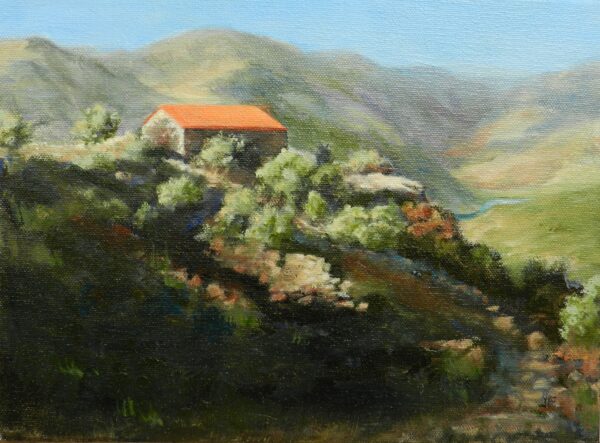 Mountain Farm in Portugal