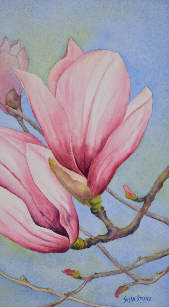 View artwork titled Magnolia Blossoms