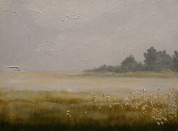 Cattails in Fog