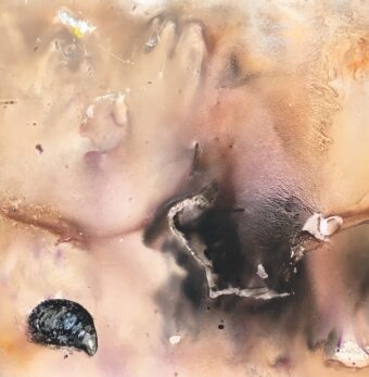 View artwork titled Lonely Mussel