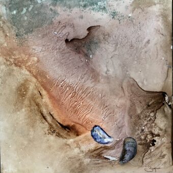 View artwork titled Two Mussels