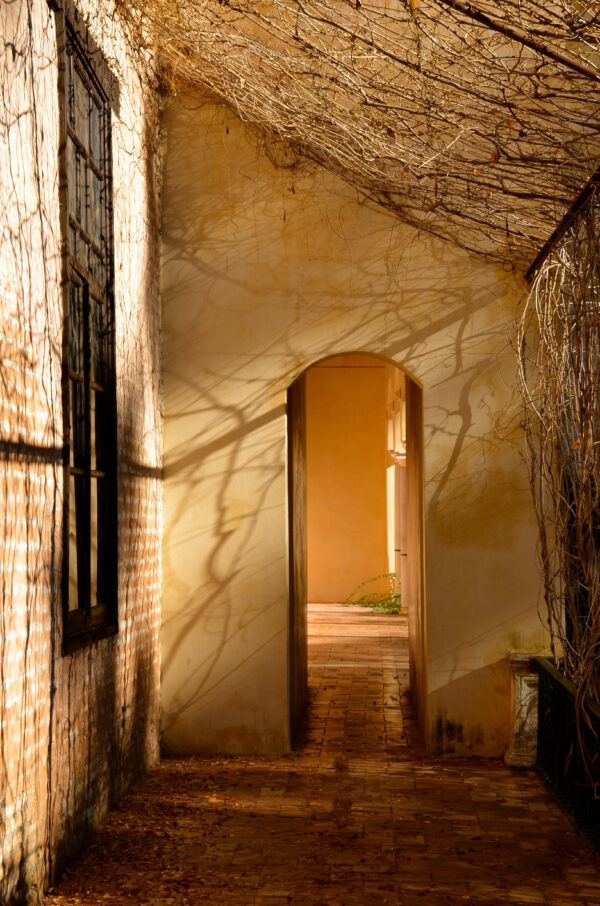 Puerta del Alcazar, Avila Spain
