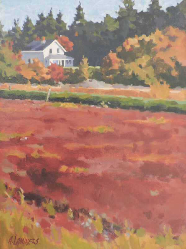 Across the Bog