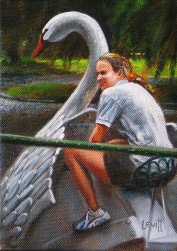 Swan Boat Driver