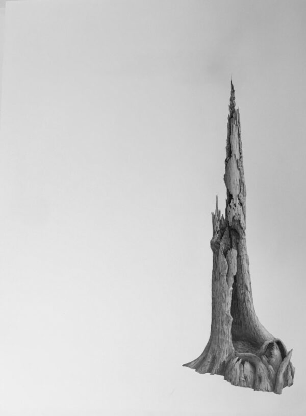 Pinnacle