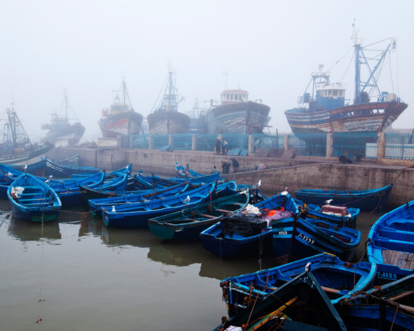 Fogged In
