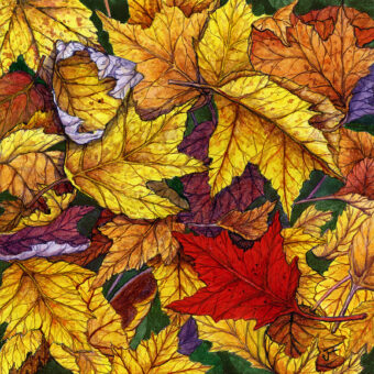 View artwork titled Autumn Equinox