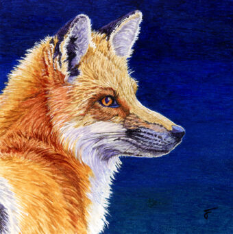 View artwork titled Curiosity