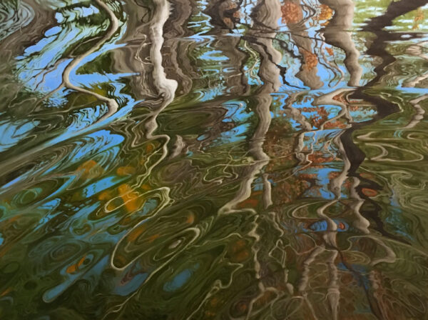 Charles River Ripple
