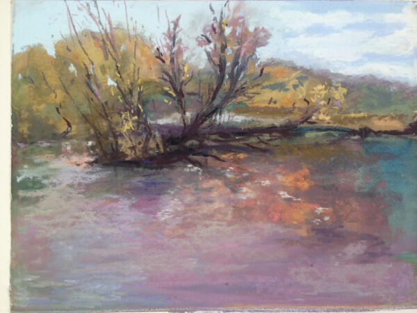 Swamp Tree