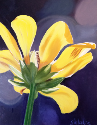 View artwork titled Jesse’s Garden