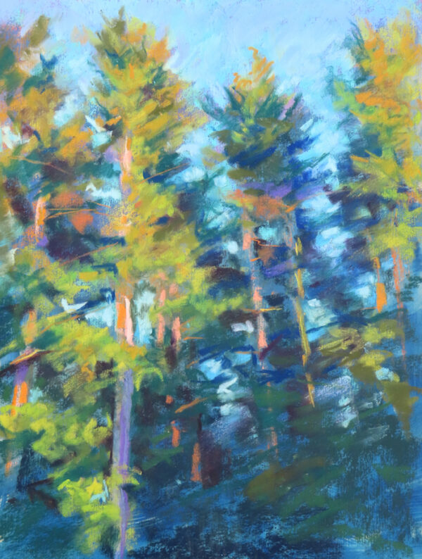 Light on the Pines