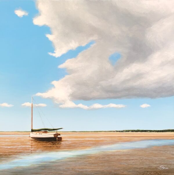 Low Tide Cat