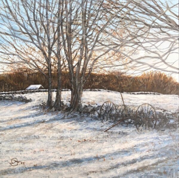 Snowfield Shadows